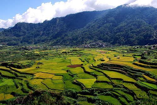 Aerial view of the Sagada rice terraces.  The rice terraces of the Cordillera are recognized UNESCO world heritage sites for their masterful feats in engineering and agricultural.