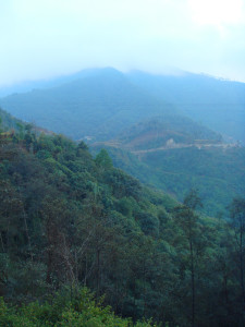 Roads wind their ways precipitously around hills covered in dense forest. (Noaman G. Ali)